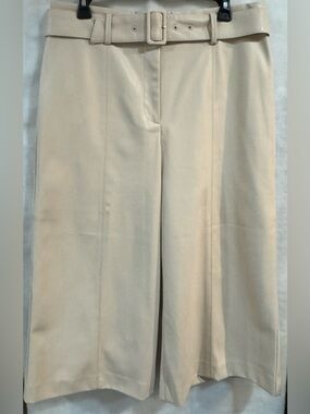 Ann Taylor Petite Light Cream Leather-Trim Skirt